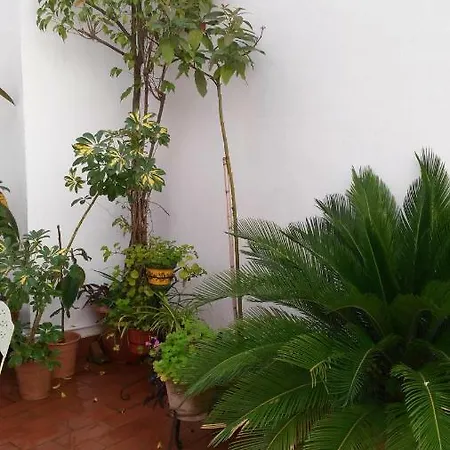 Patios Con Encanto Апартаменты *