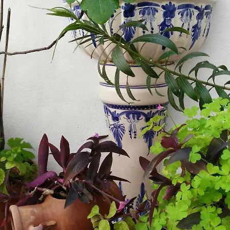 Patios Con Encanto Apartment